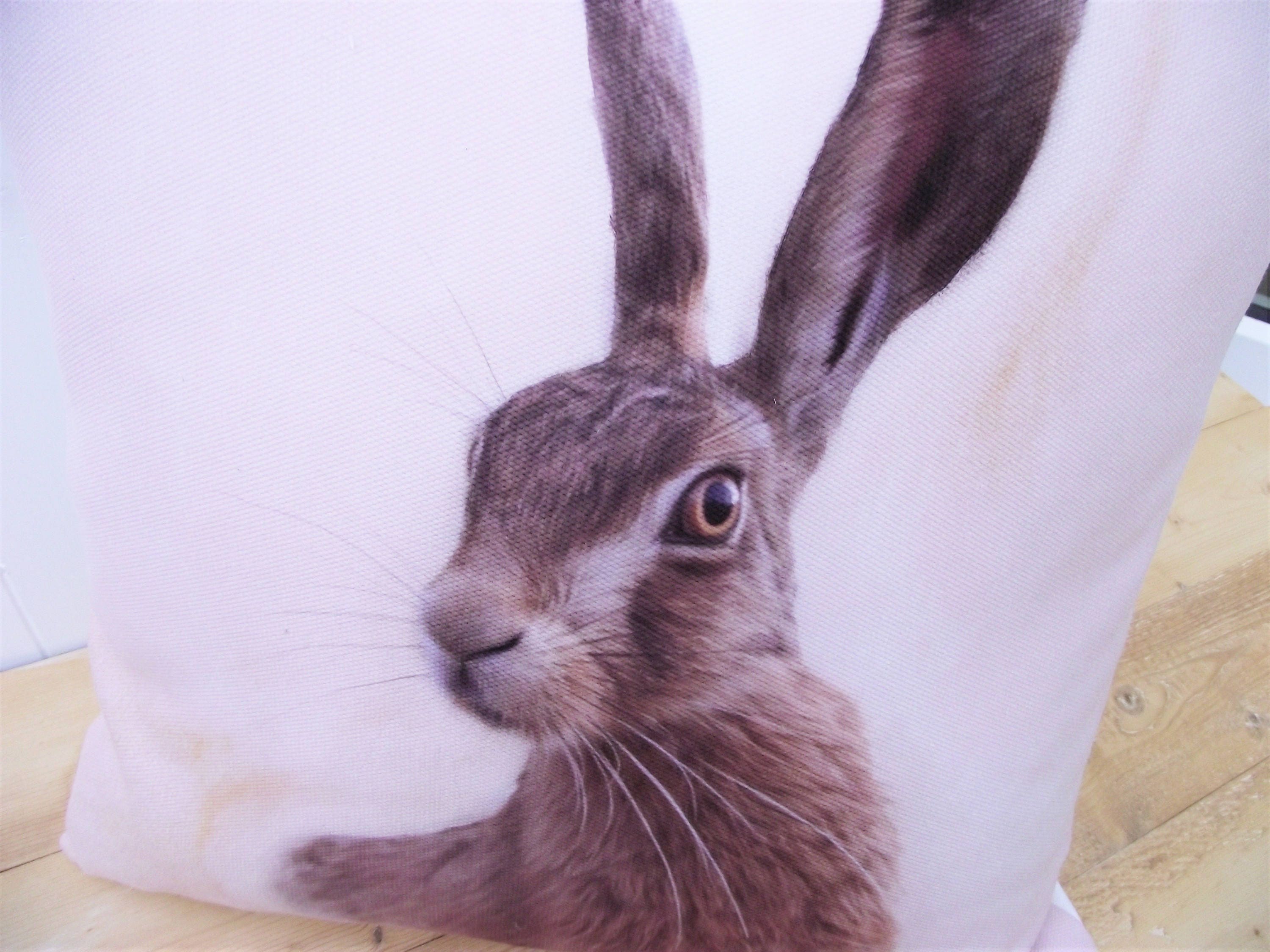 Hare Cushion, Handmade using Print by UK Artists, Choice of Cover Only or Cover with Inner Pad