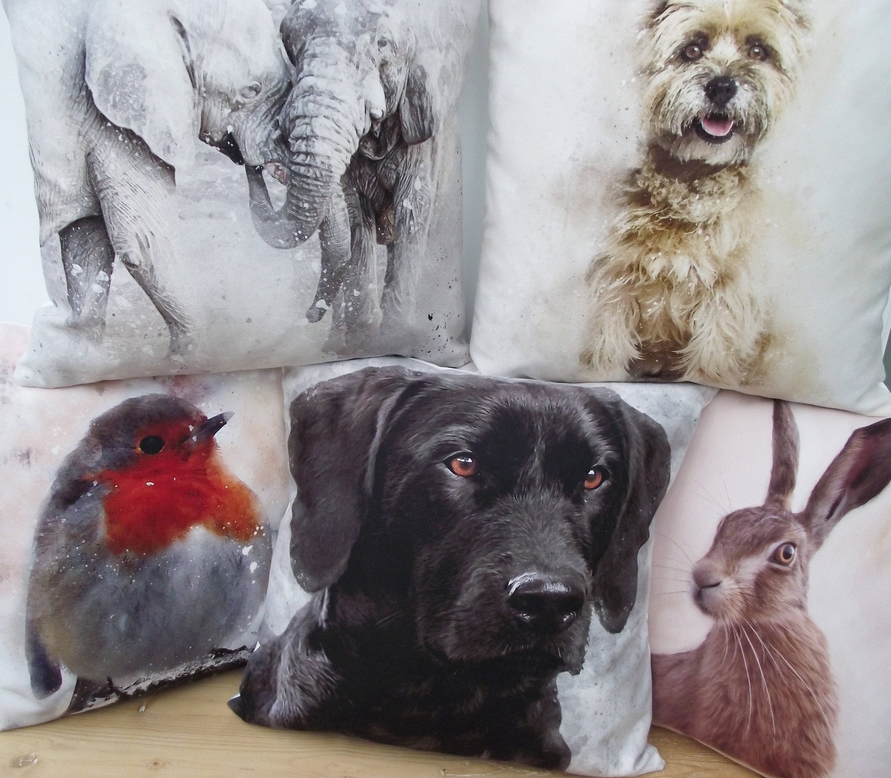 Goat Cushion, Water Colour Splatter Print by UK Artists, Choice of Cover Only or Cover with Pad.