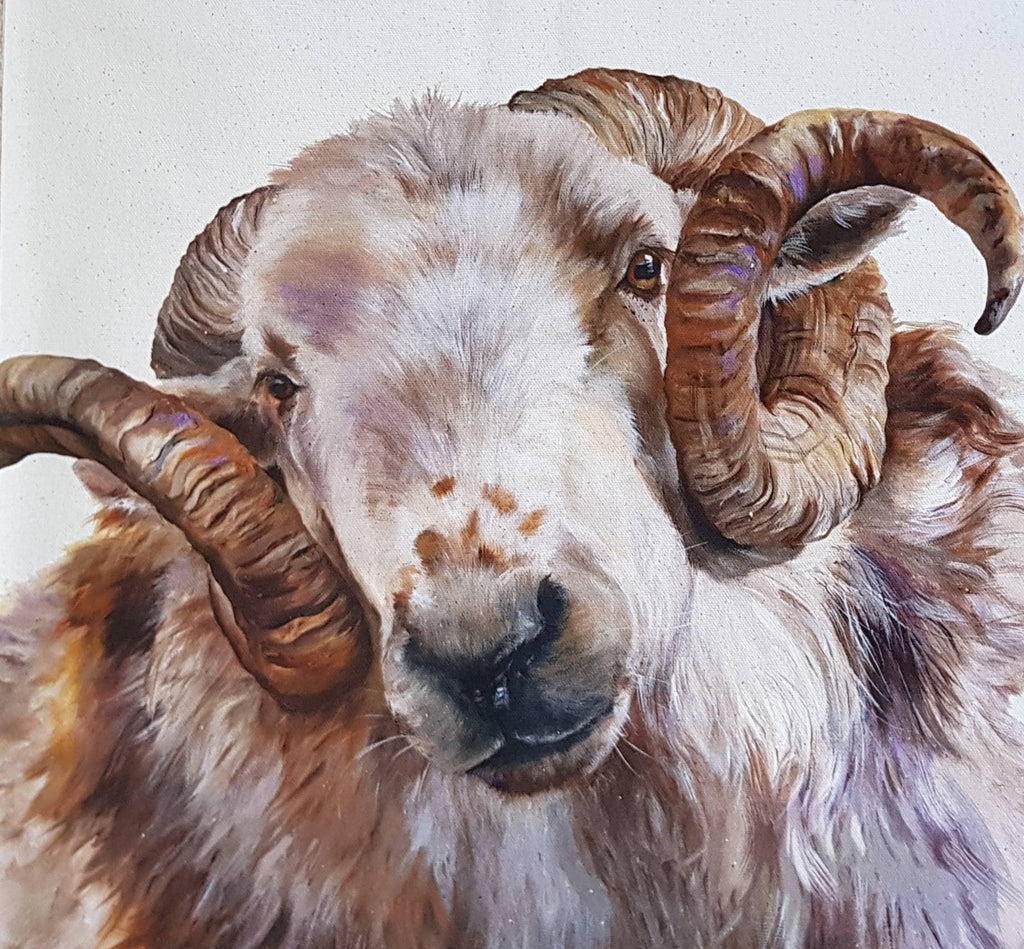 Welsh Ram Cushion, Sheep Pillow, Wendy Darker Art Print, Cover Only or Cover + Pad