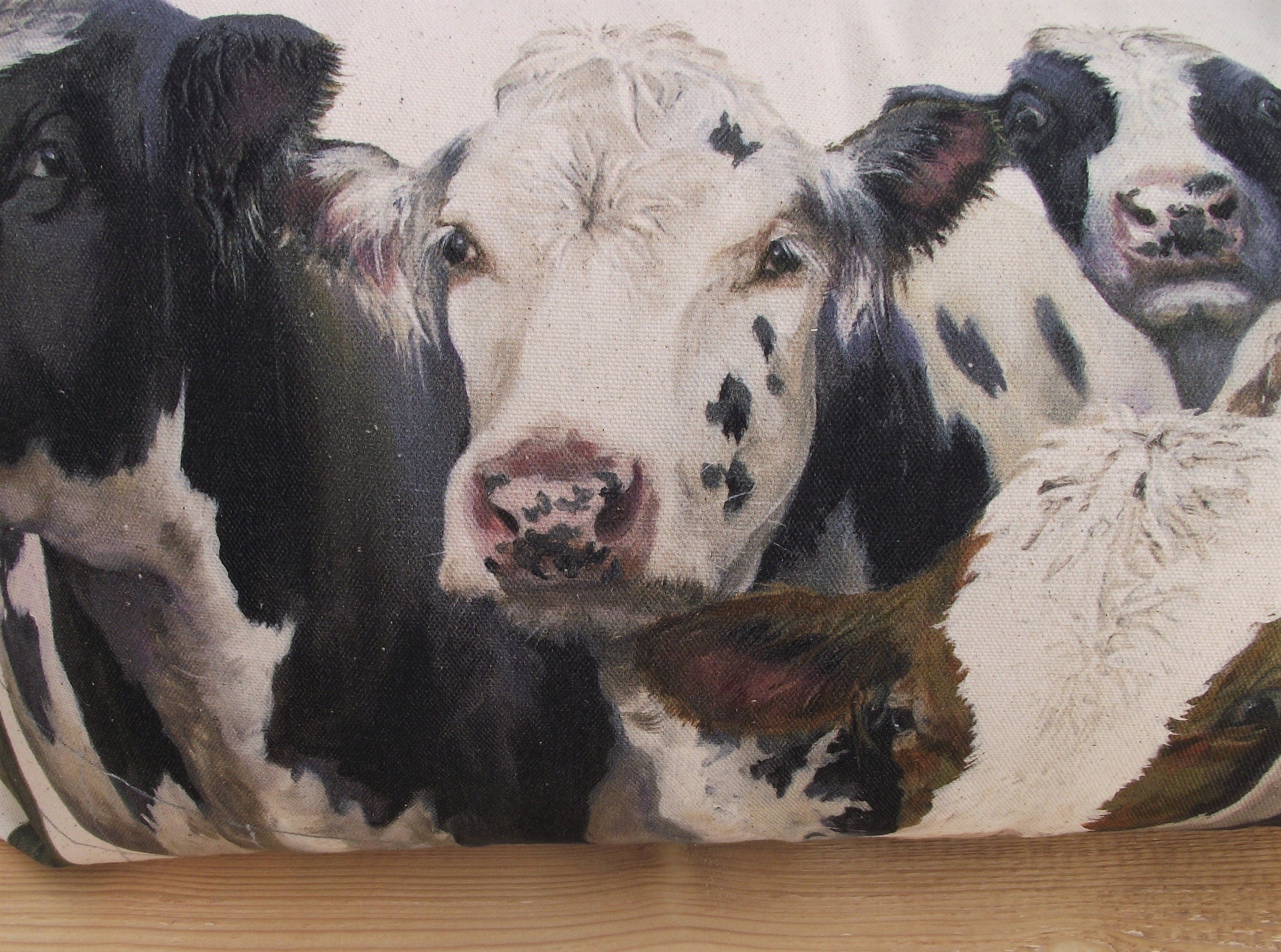 Cows Art Print Cushion: Wendy Darker Organic Cotton Lumbar Pillow
