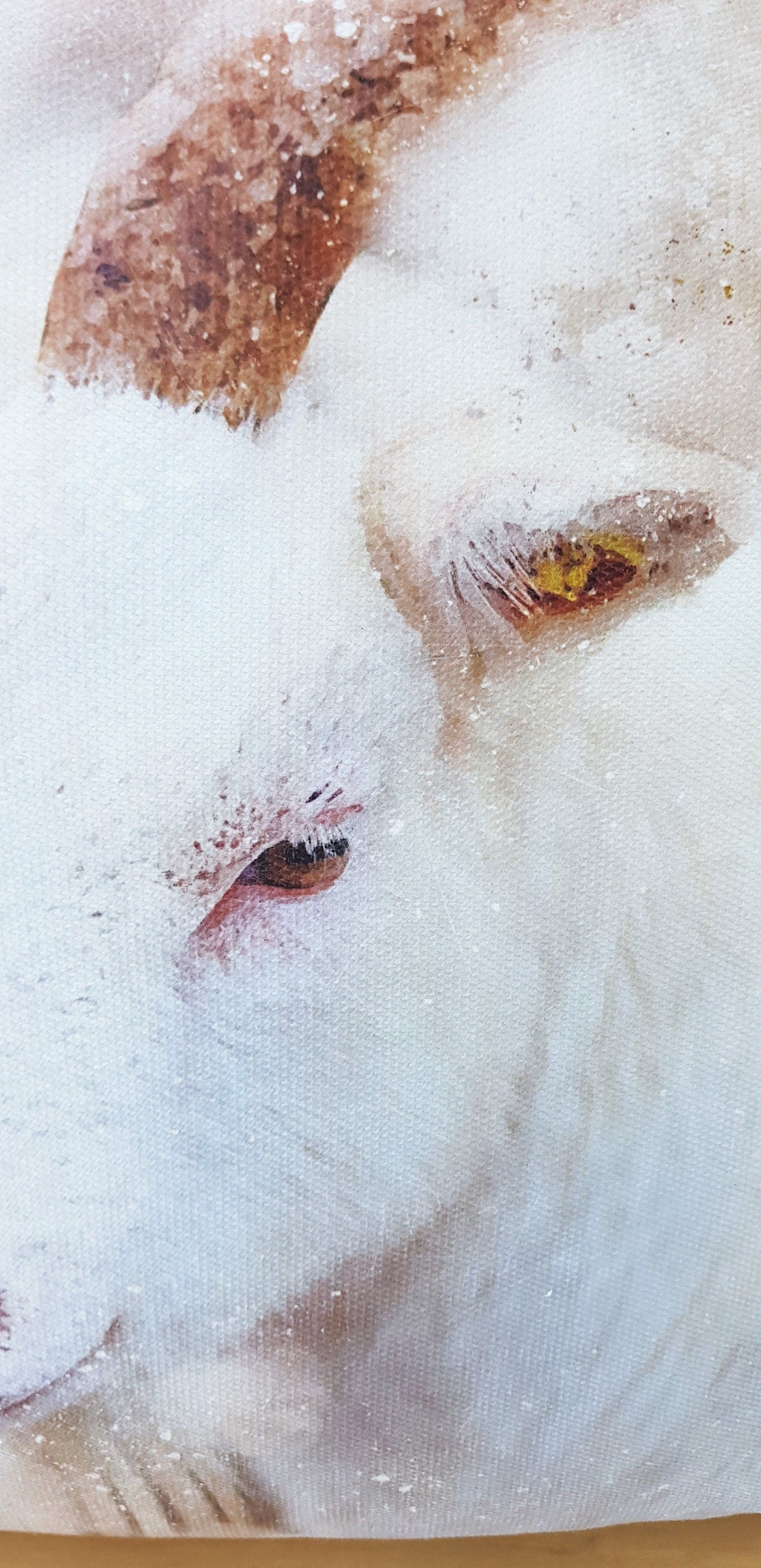 Goat Cushion, Water Colour Splatter Print by UK Artists, Choice of Cover Only or Cover with Pad.