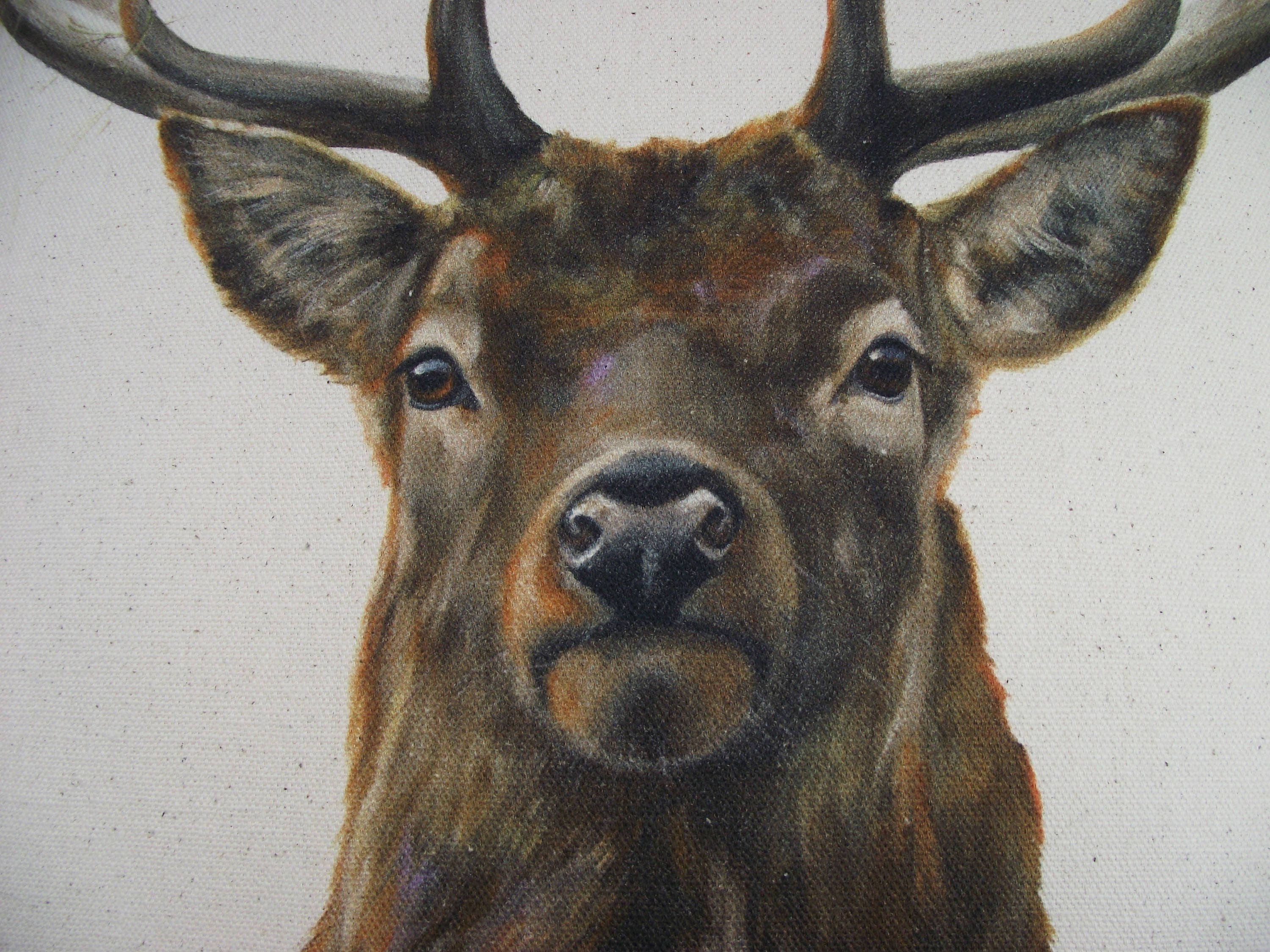 Stag Art Print Cushion: Organic Cotton Deer Pillow, Cover only or Cover with Pad