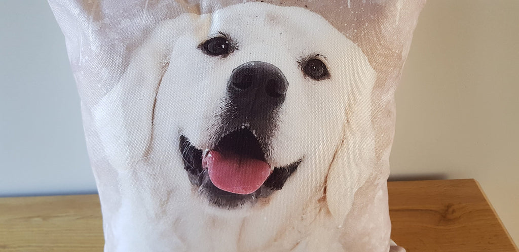 Golden Retriever Art Print Cushion: Handmade with Zip Closure, Cover only or Cover + Pad