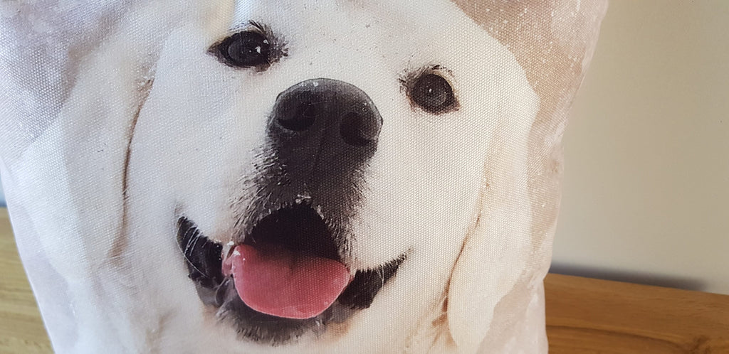 Golden Retriever Art Print Cushion: Handmade with Zip Closure, Cover only or Cover + Pad