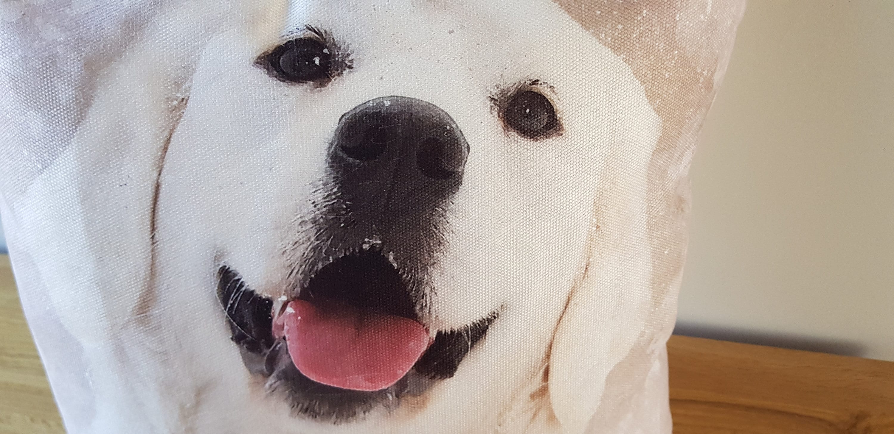 Golden Retriever Art Print Cushion: Handmade with Zip Closure, Cover only or Cover + Pad