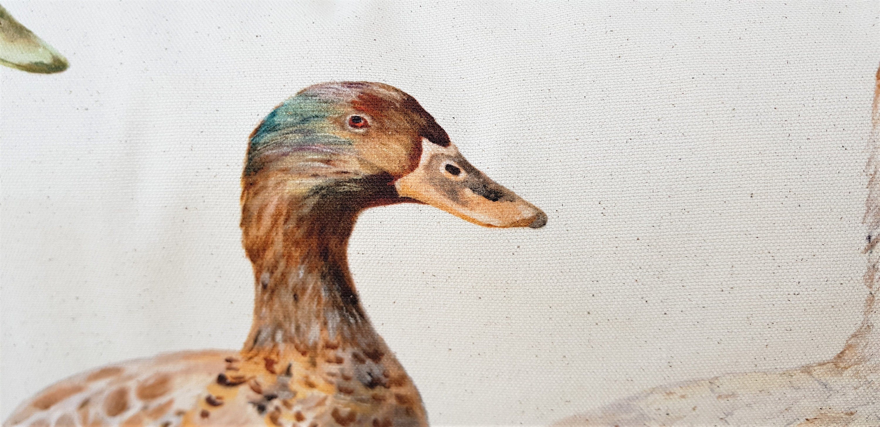 Ducks Organic Cotton Cushion: Farmyard Art by Wendy Darker (26x12)