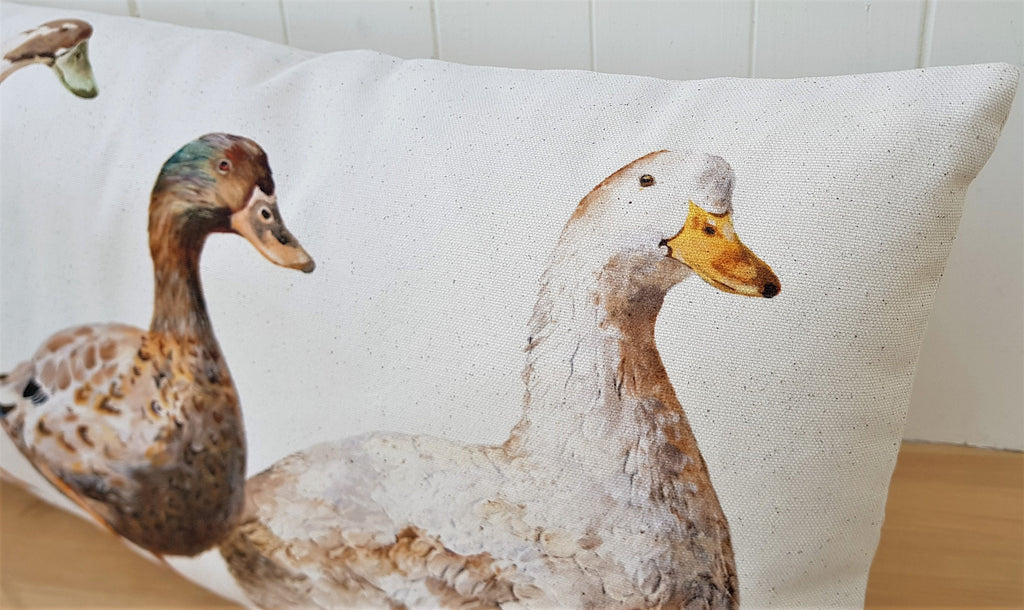 Ducks Organic Cotton Cushion: Farmyard Art by Wendy Darker (26x12)