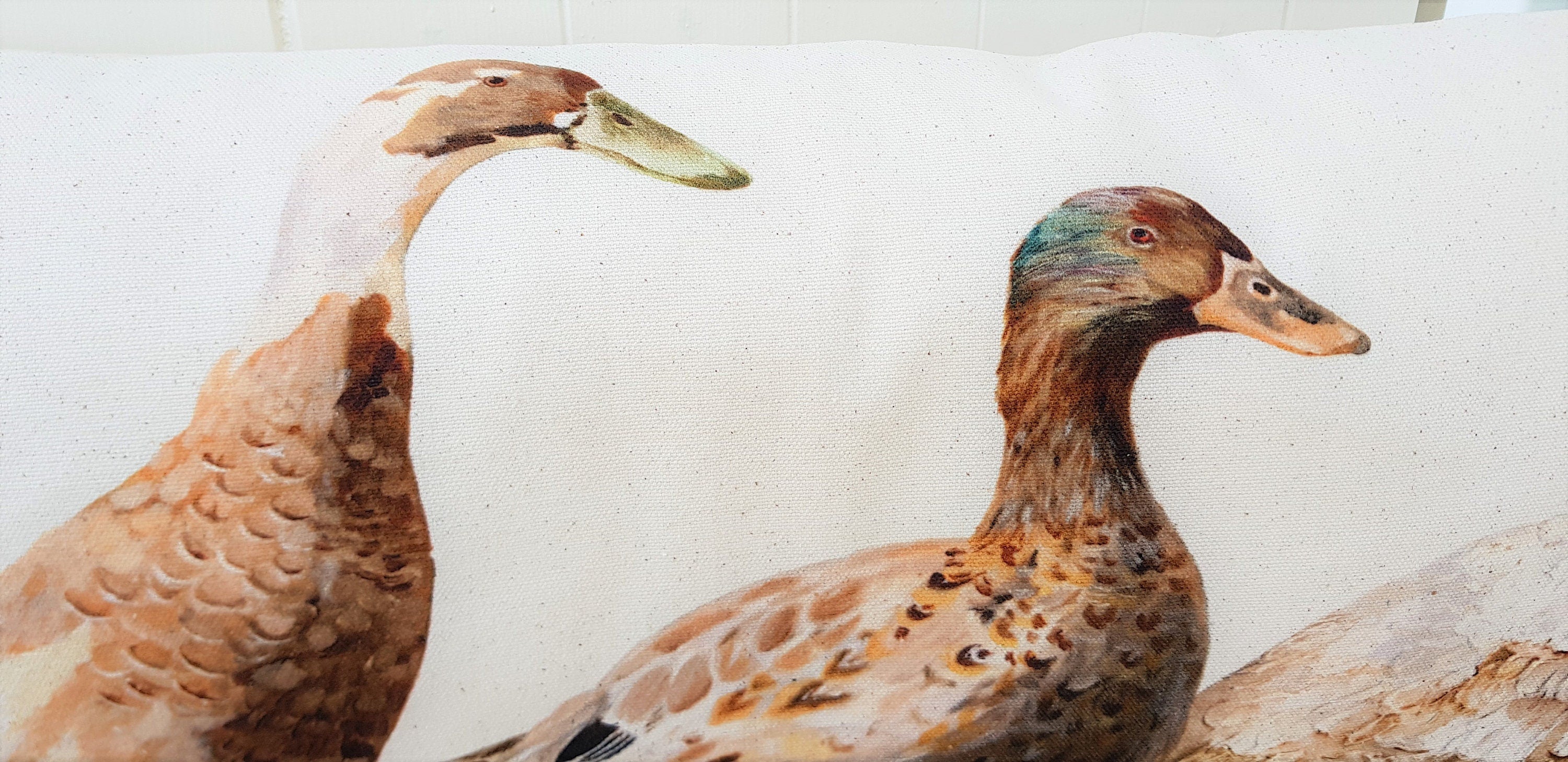 Ducks Organic Cotton Cushion: Farmyard Art by Wendy Darker (26x12)